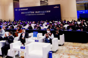 峰会和论坛的区别是什么 论坛和峰会哪个级别高