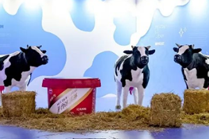 策划一场成功的活动的所有步骤都在这里