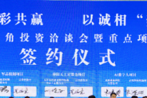 洽谈会流程安排怎么写