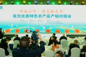 常见的展览会策划有哪几种形式